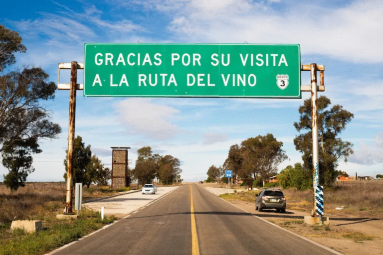 10 Best Wineries in Valle de Guadalupe To Visit This Year!