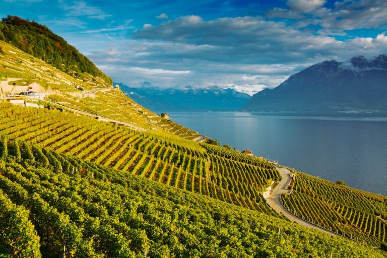 17+ Underrated Wine Destinations in Europe You Need to Visit